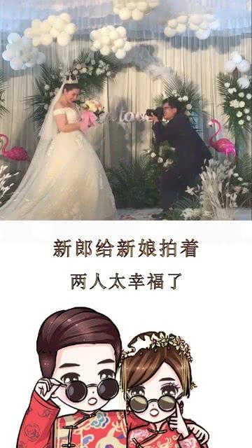 化毛膏宠物用品成分分析检测
